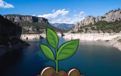 Giro de 180 grados con los embalses: Buenas noticias para los agricultores